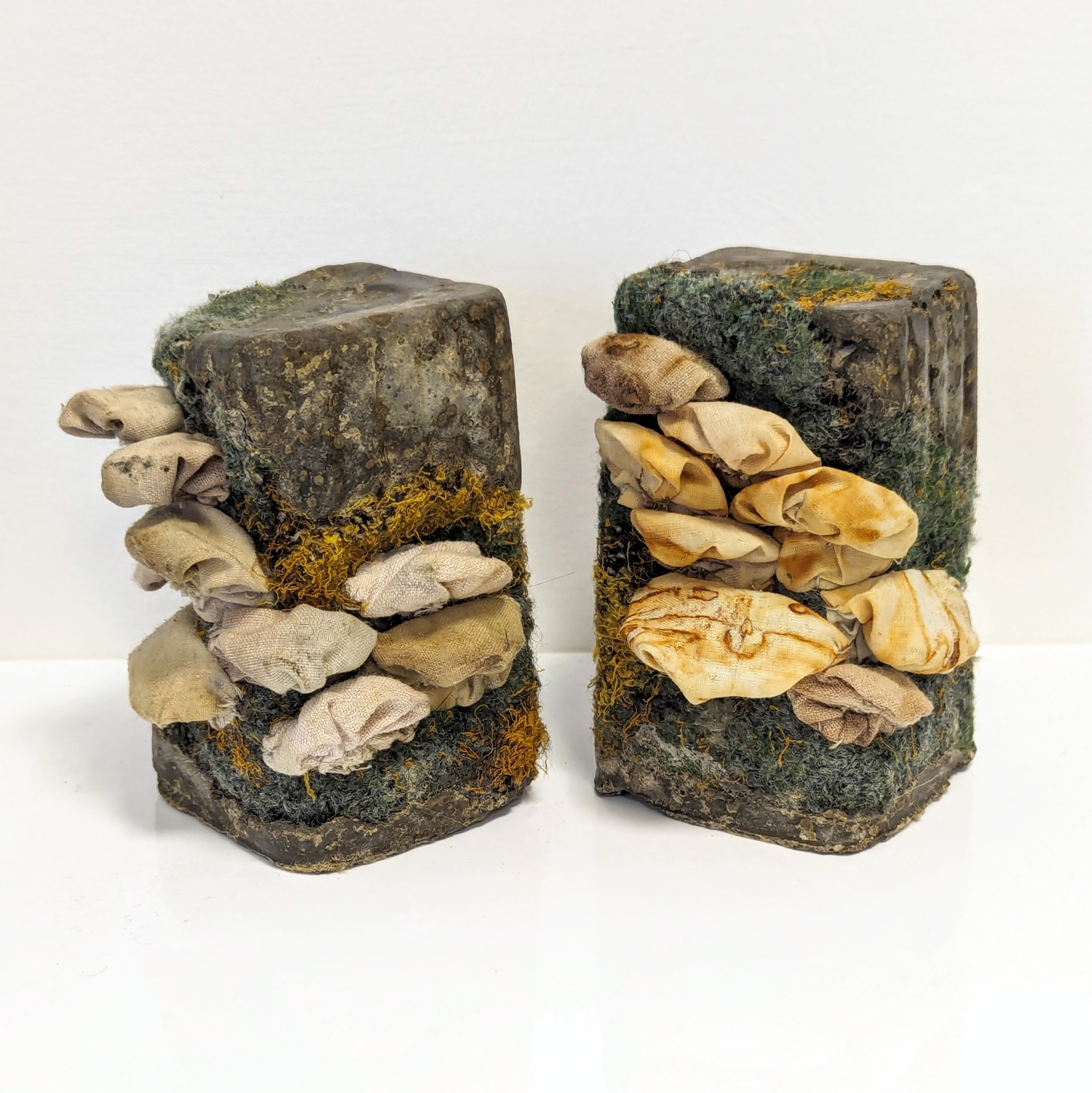 Fungus Cups